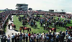 Galway Races Ballybrit Galway City Ireland